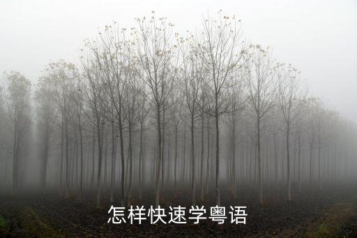 怎样快速学粤语