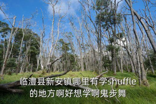 澧县哪里有跳舞，在湖南澧县有做腾云舞馆他建设于1992年春问他在澧县哪里