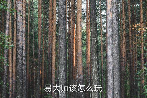 易大师该怎么玩