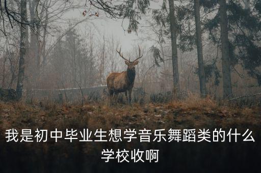 我是初中毕业生想学音乐舞蹈类的什么学校收啊