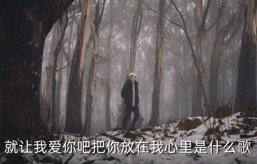就让我爱你吧把你放在我心里是什么歌