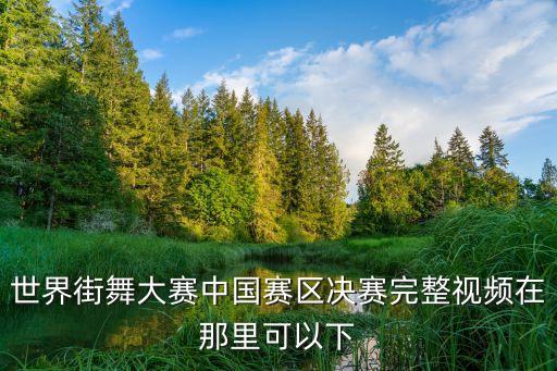 世界街舞大赛中国赛区决赛完整视频在那里可以下