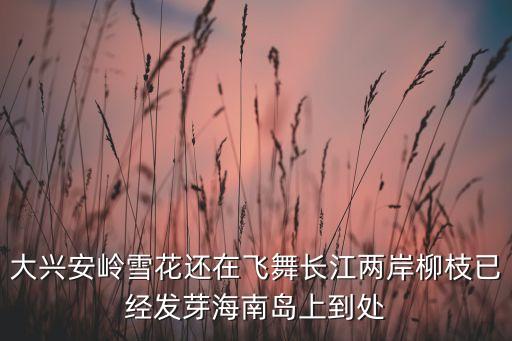 大兴安岭雪花还在飞舞长江两岸柳枝已经发芽海南岛上到处