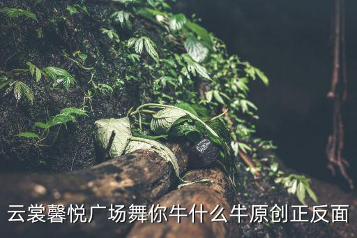 云裳馨悦广场舞你牛什么牛原创正反面