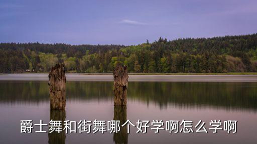 爵士舞和街舞哪个好学啊怎么学啊