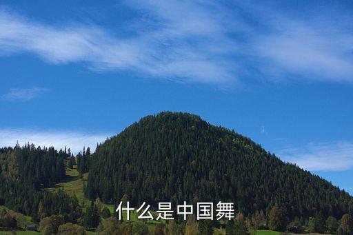 怎么介绍少儿中国舞，谁能给我几句介绍小孩舞蹈活力小葵花的开场白