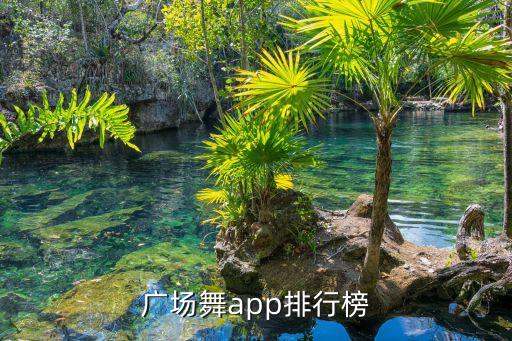广场舞app排行榜