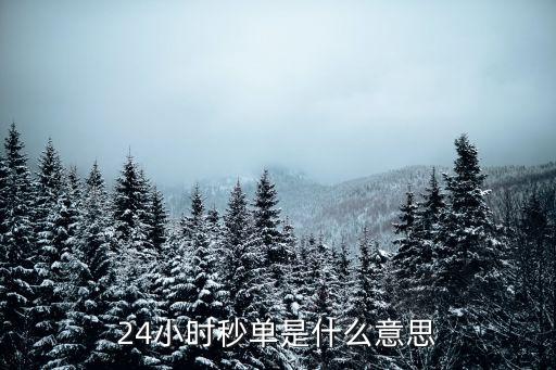 24小时秒单是什么意思