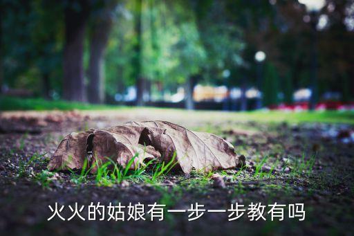 火火的姑娘广场舞，火火的姑娘有一步一步教有吗