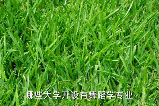 哪些大学开设有舞蹈学专业