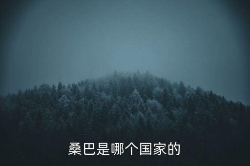 桑巴是哪个国家的