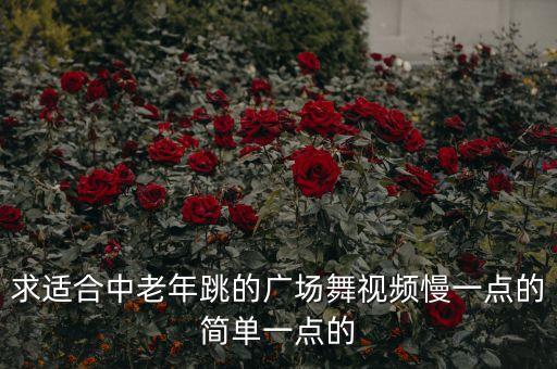 求适合中老年跳的广场舞视频慢一点的简单一点的