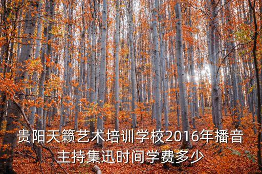 天籁艺术培训学校收费，四川美术培训画室哪家好