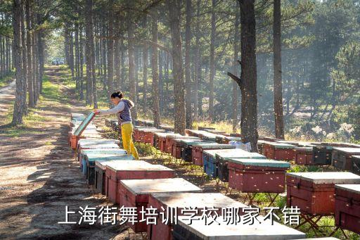 上海街舞培训学校哪家不错