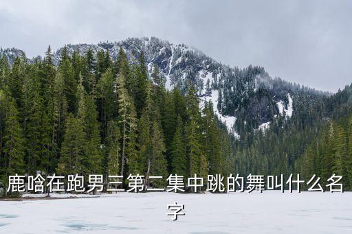 鹿唅在跑男三第二集中跳的舞叫什么名字