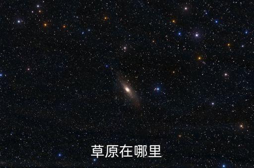 草原在哪里