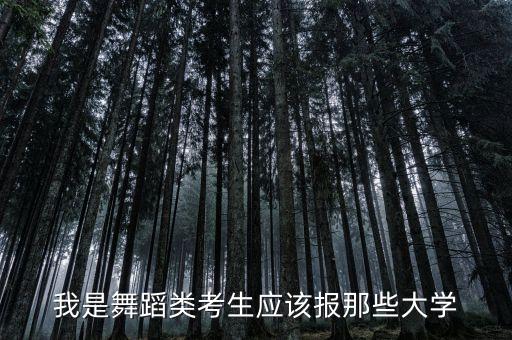 舞蹈艺考290报什么学校，我是舞蹈类考生应该报那些大学
