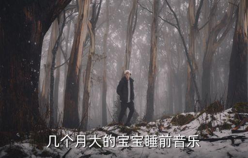 几个月大的宝宝睡前音乐