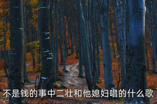 不是钱的事中二壮和他媳妇唱的什么歌