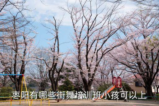 枣阳有哪些街舞培训班小孩可以上