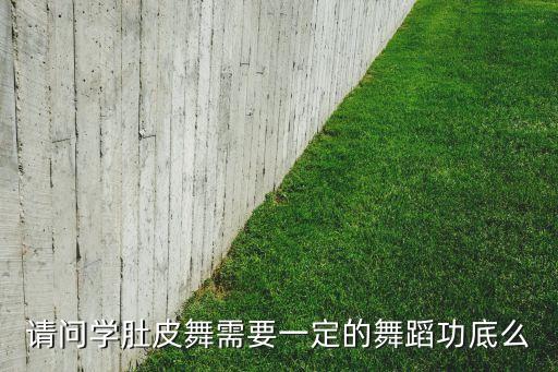 舞蹈功底是什么意思，请问学肚皮舞需要一定的舞蹈功底么
