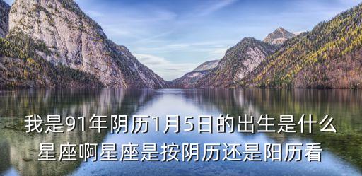 我是91年阴历1月5日的出生是什么星座啊星座是按阴历还是阳历看