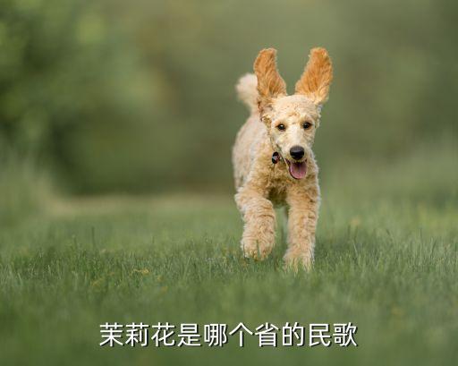 茉莉花是哪个省的民歌
