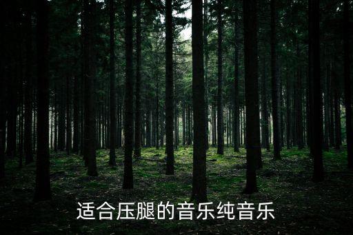 舞蹈基本功压腿音乐mp3，舞蹈压腿时的音乐