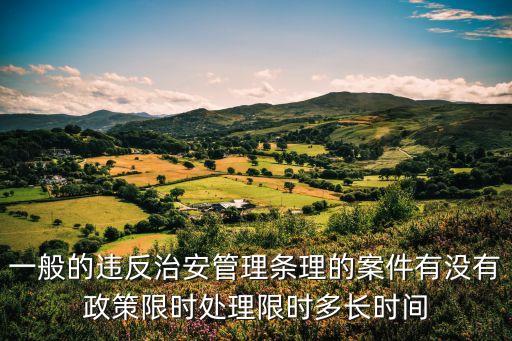 一般的违反治安管理条理的案件有没有政策限时处理限时多长时间