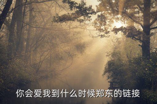 你会爱我到什么时候郑东的链接