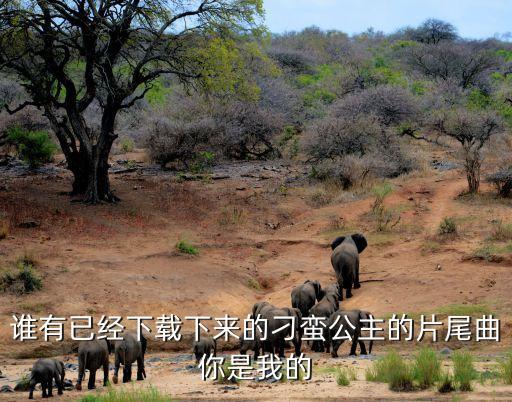 你是我的有什么歌曲下载，谁有已经下载下来的刁蛮公主的片尾曲你是我的