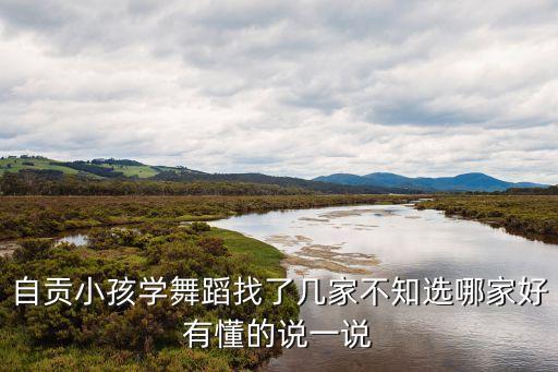 自贡小孩学舞蹈找了几家不知选哪家好有懂的说一说