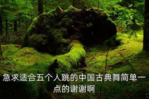 古代舞蹈视频简单易学好看多人，简单易学的古典群舞