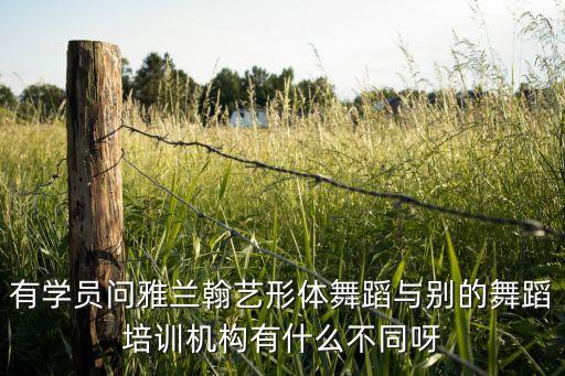 青青世界定制舞蹈，有学员问雅兰翰艺形体舞蹈与别的舞蹈培训机构有什么不同呀