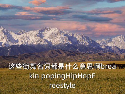 这些街舞名词都是什么意思啊breakin popingHipHopFreestyle