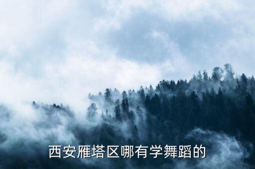 西安雁塔区哪有学舞蹈的