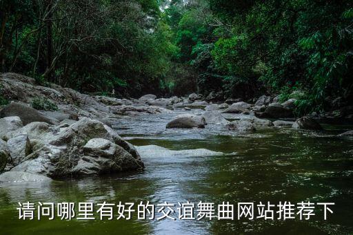 请问哪里有好的交谊舞曲网站推荐下