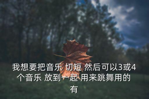 我想要把音乐 切短 然后可以3或4 个音乐 放到一起 用来跳舞用的 有