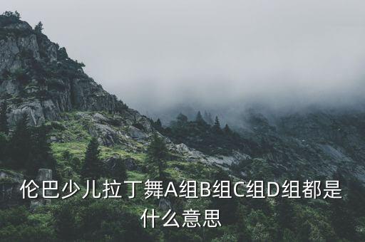 拉丁舞b组是什么意思，AB组DS什么意思