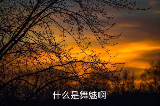 什么是舞魅啊