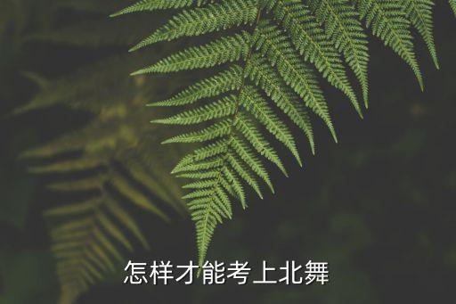 怎样才能考上北舞