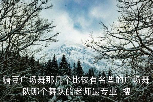糖豆广场舞那几个比较有名些的广场舞队哪个舞队的老师最专业  搜