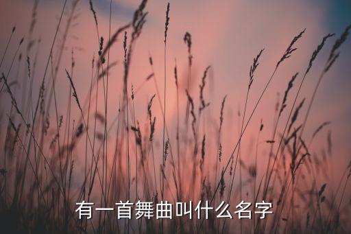 有一首舞曲叫什么名字