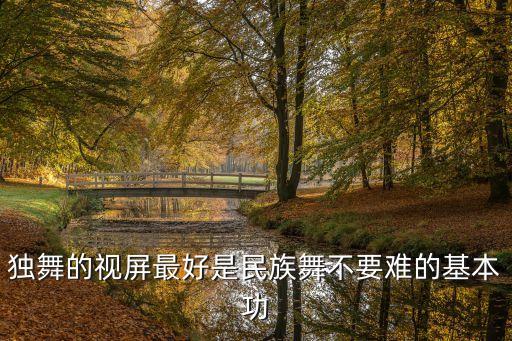 独舞的视屏最好是民族舞不要难的基本功