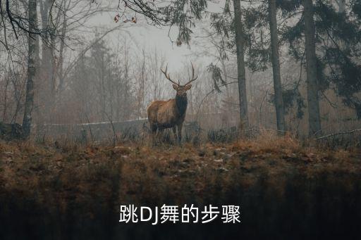 怎么跳dj的舞蹈视频，跳DJ舞的步骤
