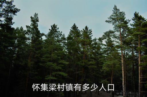 怀集梁村镇有多少人口