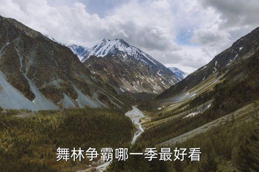 舞林大会 舞林争霸 舞出我人生哪个好看点，我在炫舞时代里创了个团名称帅比急求好看好听的团职称