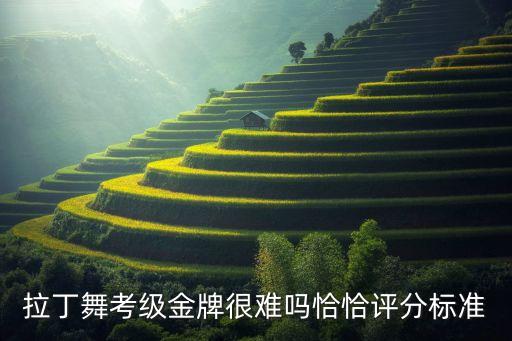 拉丁舞评审怎么考，少儿拉丁舞有评级考试的吗