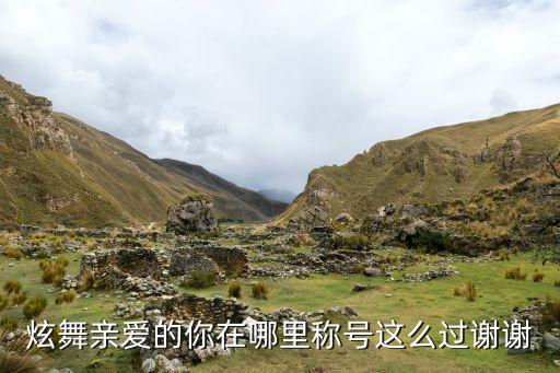 双人舞对跳亲爱的你在哪里，炫舞亲爱的你在哪里怎么获得