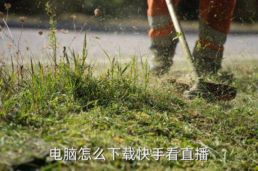 电脑怎么下载快手看直播